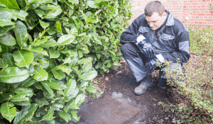 Détecter l'origine des mauvaises odeurs de canalisation dans la maison